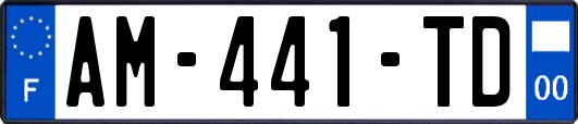 AM-441-TD
