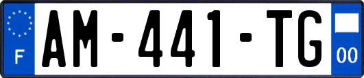 AM-441-TG