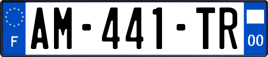 AM-441-TR