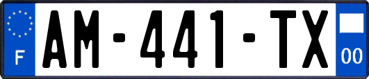 AM-441-TX