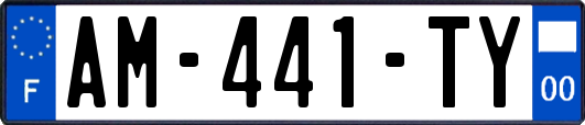 AM-441-TY