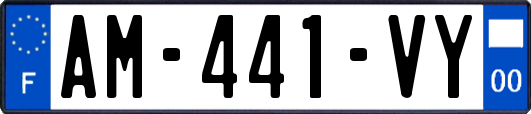 AM-441-VY