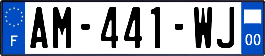 AM-441-WJ