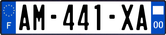 AM-441-XA