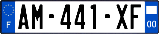 AM-441-XF