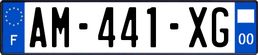 AM-441-XG