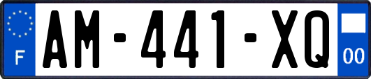 AM-441-XQ