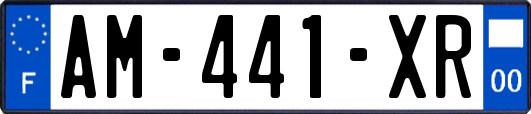 AM-441-XR