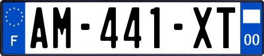 AM-441-XT