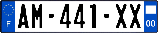 AM-441-XX