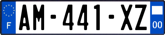 AM-441-XZ