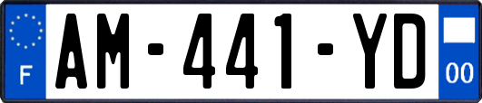 AM-441-YD