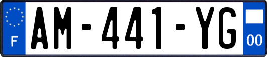 AM-441-YG