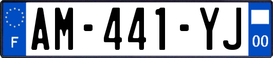 AM-441-YJ