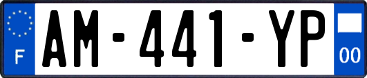 AM-441-YP