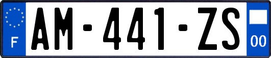 AM-441-ZS