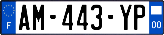 AM-443-YP