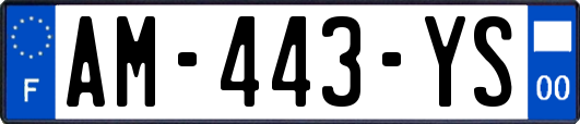 AM-443-YS