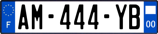 AM-444-YB