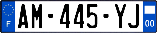 AM-445-YJ
