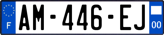 AM-446-EJ