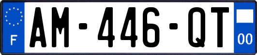 AM-446-QT