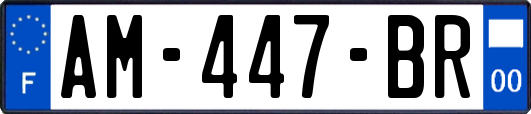 AM-447-BR