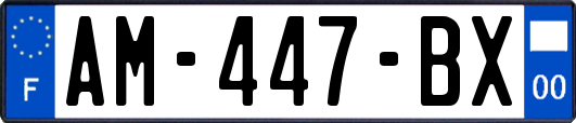 AM-447-BX