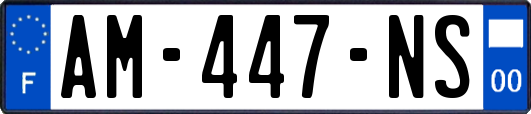 AM-447-NS