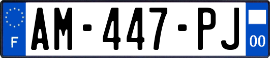 AM-447-PJ