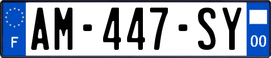 AM-447-SY
