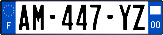 AM-447-YZ