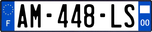 AM-448-LS