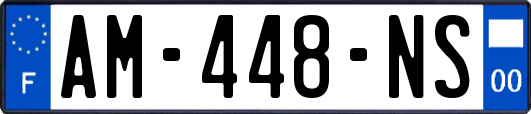 AM-448-NS