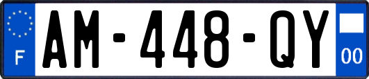 AM-448-QY