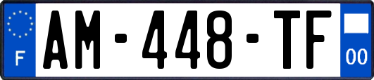 AM-448-TF