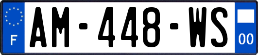 AM-448-WS