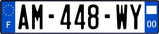 AM-448-WY