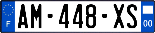 AM-448-XS
