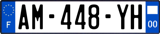 AM-448-YH