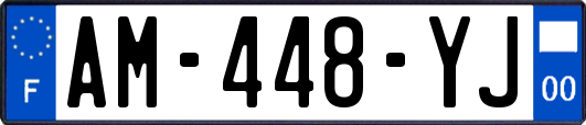 AM-448-YJ