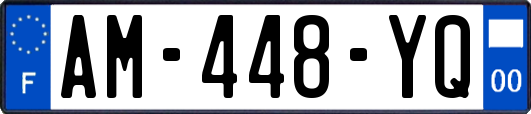 AM-448-YQ