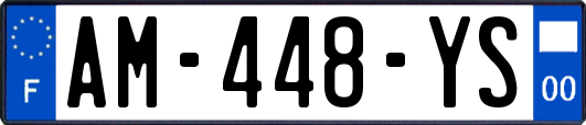 AM-448-YS
