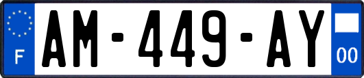 AM-449-AY