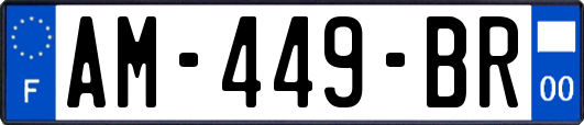 AM-449-BR