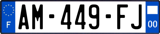 AM-449-FJ