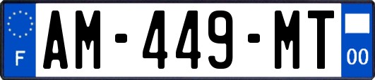 AM-449-MT