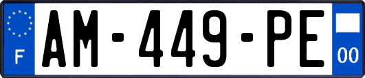 AM-449-PE
