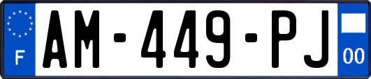AM-449-PJ