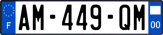 AM-449-QM
